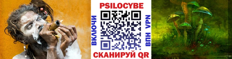 гидра как войти Каспийск Псилоцибиновые грибы прущие грибы как найти закладки