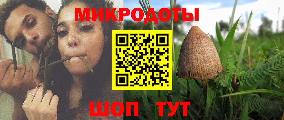 Галлюциногенные грибы Magic Shrooms  Галлюциногенные грибы мицелий  где можно купить наркотик  Каспийск  Вход с VPN 