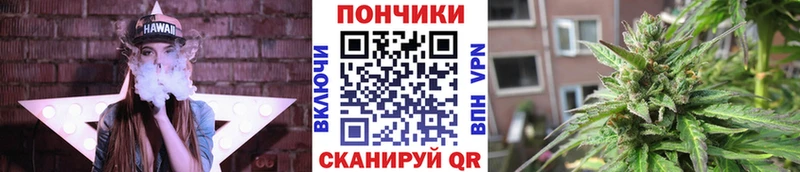 Шишки марихуана гибрид  darknet телеграм  Каспийск  где купить наркоту 